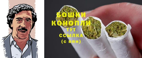 эйфоретик Пересвет