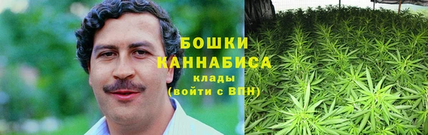 эйфоретик Пересвет