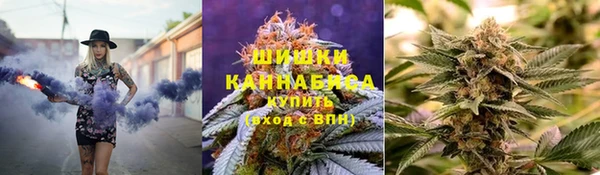 индика Переславль-Залесский