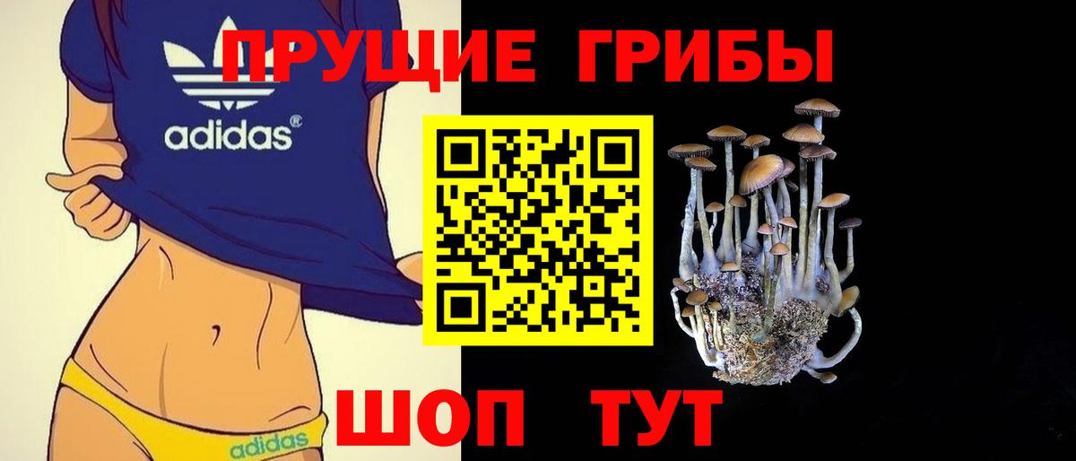 Псилоцибиновые грибы мицелий Белая Калитва